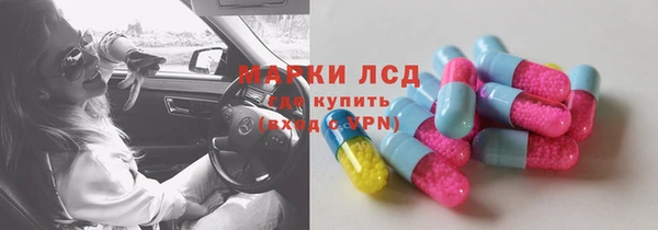 прущие грибы Володарск