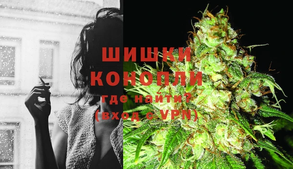 прущие грибы Володарск