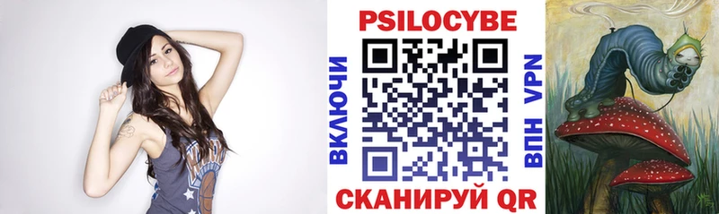 Купить где Новопавловск Псилоцибиновые грибы Cubensis
